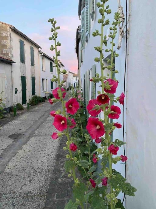 Maison De Vacances La Flotte 00491Ui Εξωτερικό φωτογραφία